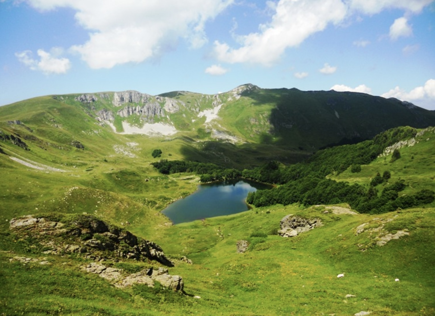 Bjelasica